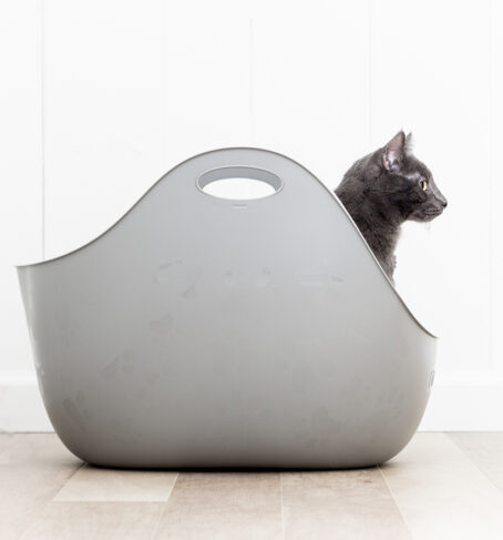 Litterbox with cat inside
