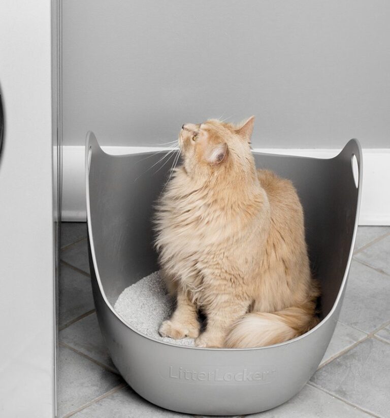 Easy to use Litter Box with handles LitterLocker Australia