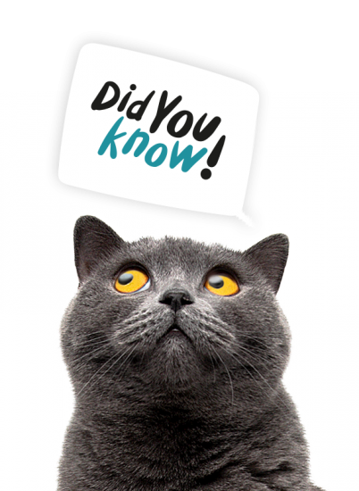 Cat did you know