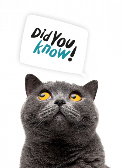 section3_cat-didyouknow2_0.png